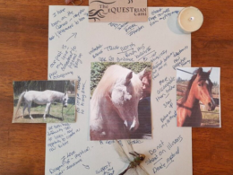 Answer Quest sample board