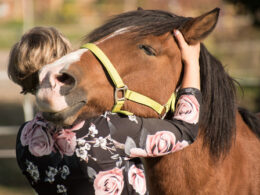Horse's head on woman's shoulder