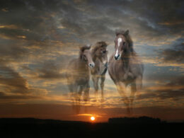 Three horses superimposed with clouds.